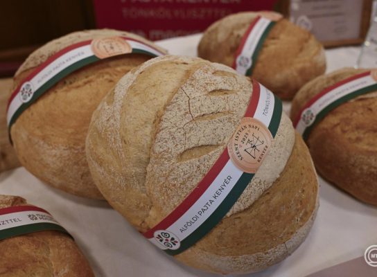 A tönkölylisztből készült Alföldi Pajta kenyér lett 2025-ben az ország kenyere